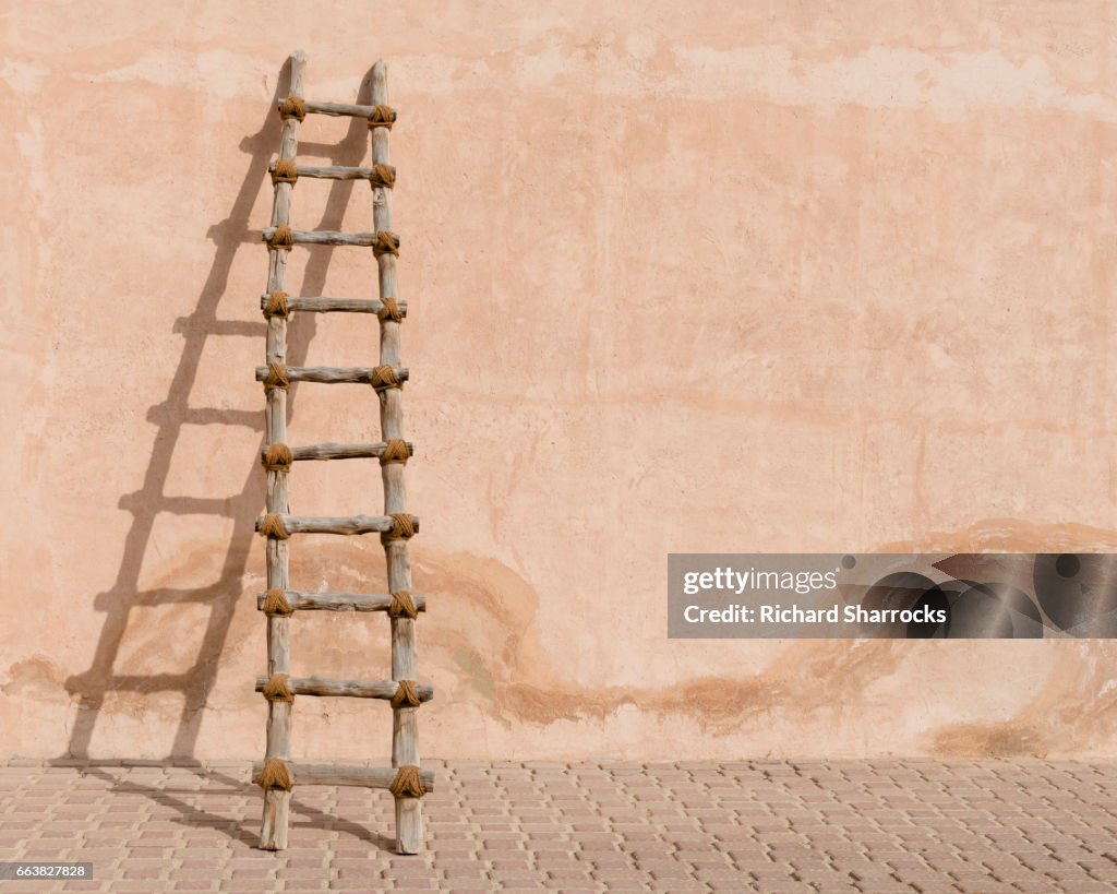 Rustic wooden ladder