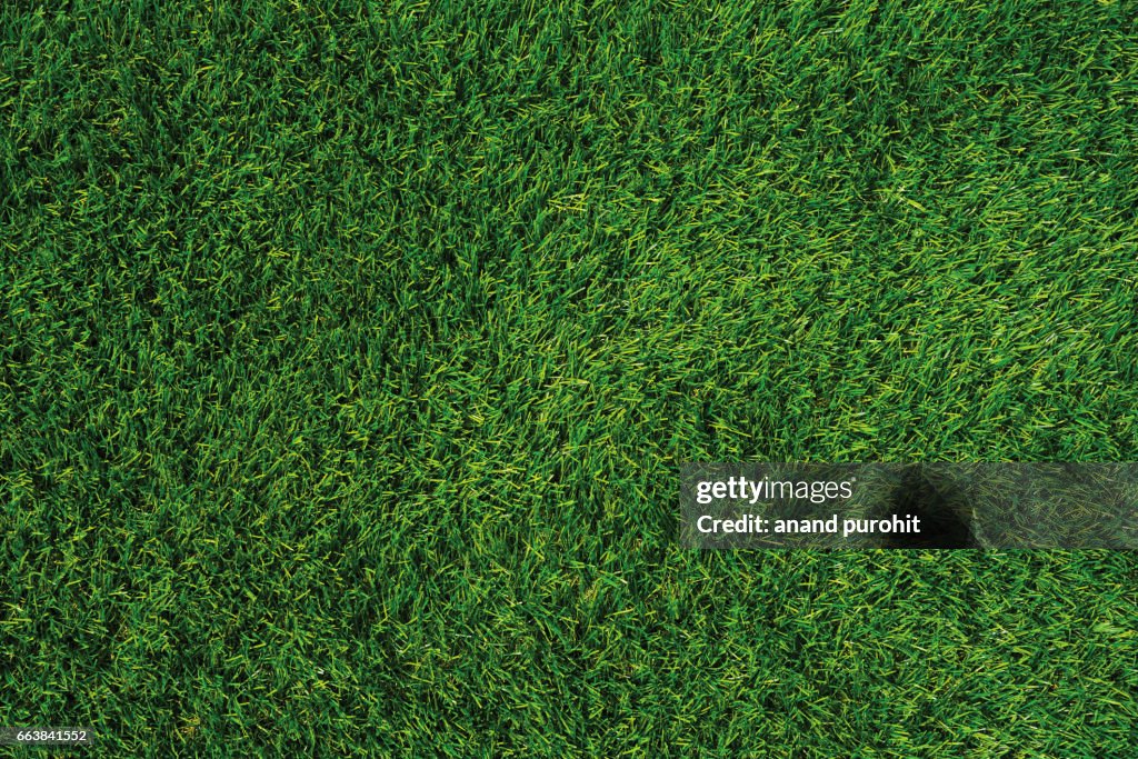 Green Lawn Texture, Green Grass Background