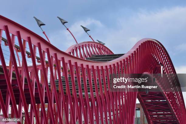 Python Bridge Front View 62 Python Bridge Stock Photos, High-Res Pictures, and Images - Getty Images