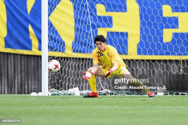 Junto Taguchi Photos and Premium High Res Pictures Getty Images