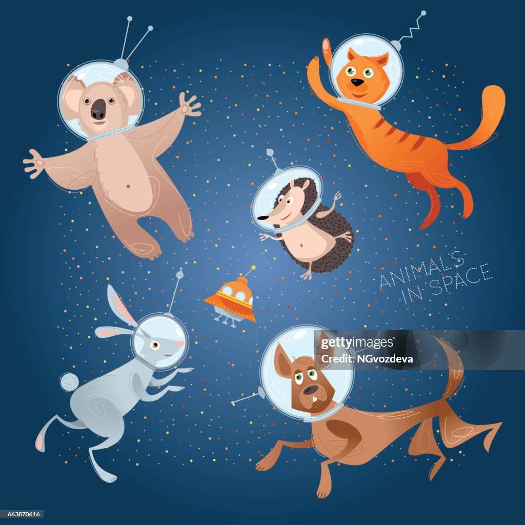 Dieren in de ruimte. Astronauten. Kosmonauten. Hond, kat, Haas, egel, koala.