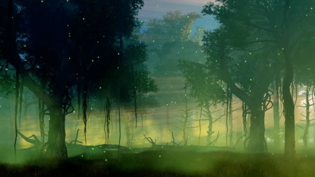 Firefly lights in misty night forest cinemagraph