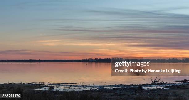 sunset at hornborgasjön - maart stockfoto's en -beelden