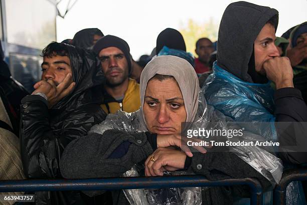 In freezing cold and heavy rain refugees wait to cross at the Timovec border crossing between Croatia and Slovenia.