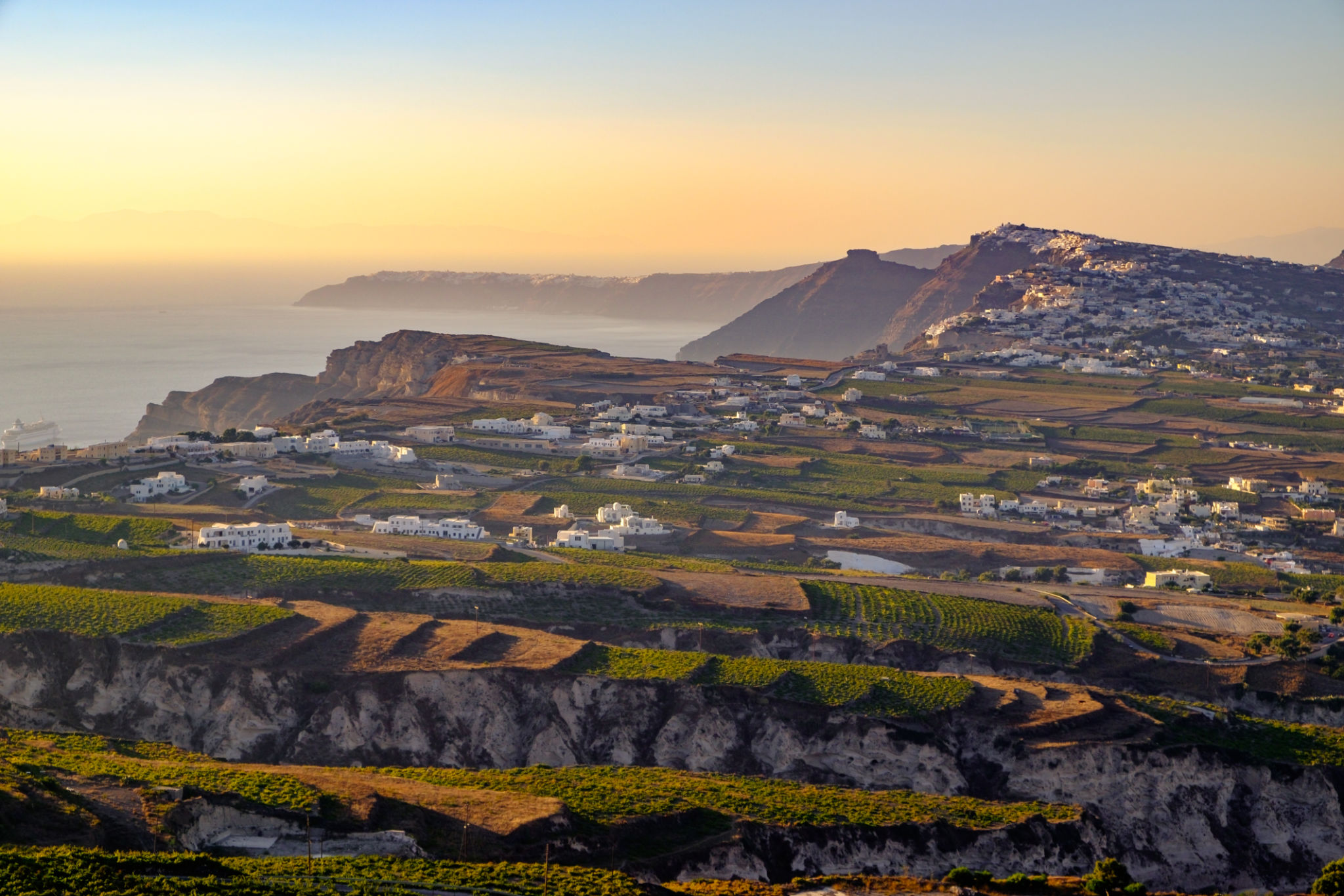 santorini vineyards