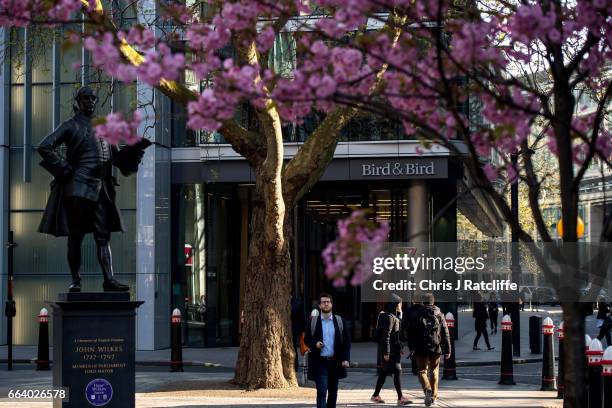 Commuters walk past a cherry blossom tree amongst office buildings during morning rush hour near the Royal Courts of Justice on April 3, 2017 in...