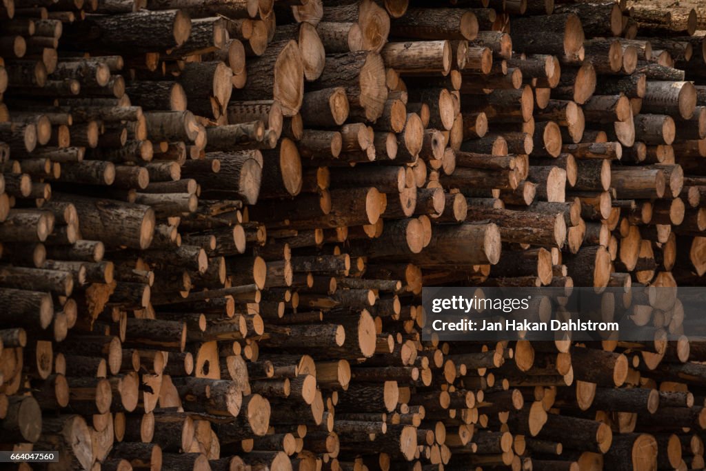 Timber stack