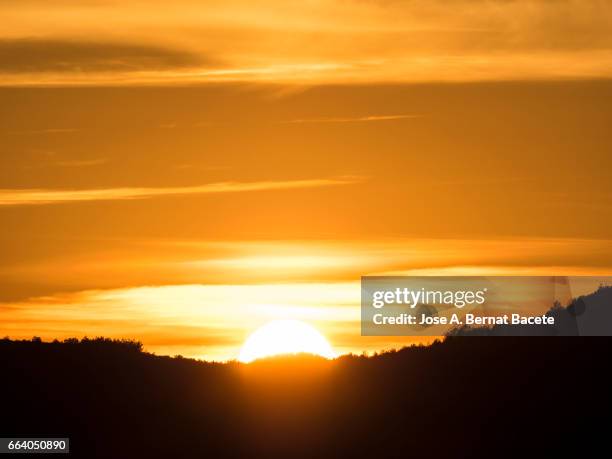 full frame of a sunset sun with high between the mountains with the silhouettes of the trees. - majestuoso ストックフォトと画像