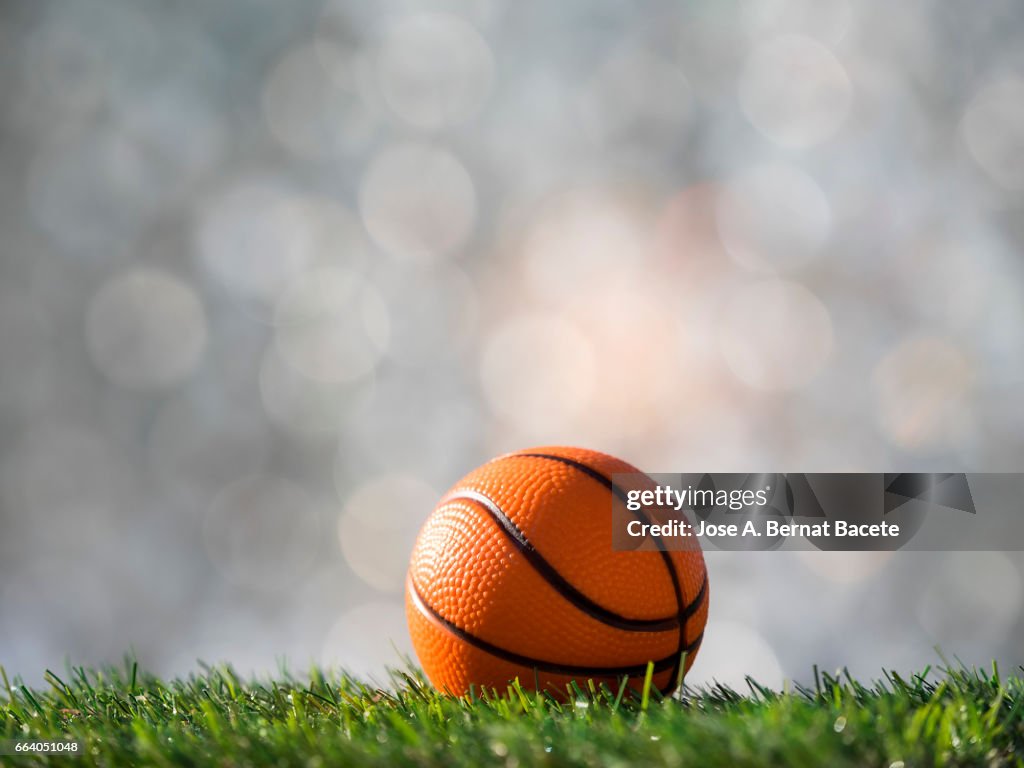 Ball of basketball  ball  on a surface of  grass of a soccer field