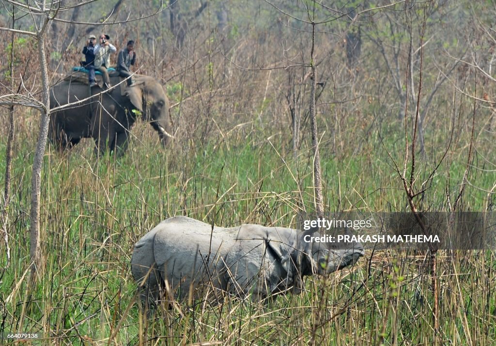 TOPSHOT-NEPAL-CONSERVATION-WILDLIFE-RHINO