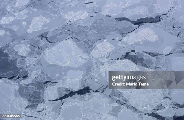 Sea ice is seen from NASA's Operation IceBridge research aircraft on March 29, 2017 above Ellesmere Island, Canada. The ice fields of Ellesmere...