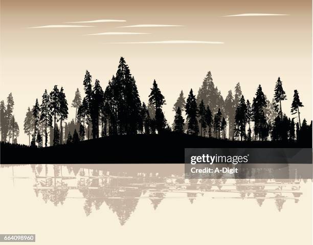 sepia treeline - pine wood stock illustrations