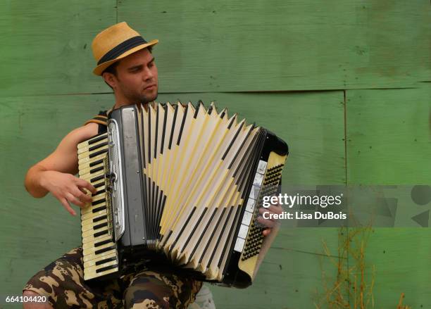 man playing accordion - acordeonista fotografías e imágenes de stock