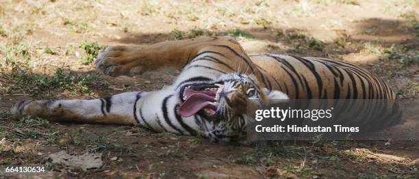 On Wedensday afternoon, fifteen-month-old Pooja and Anand have a good time, hugging each other at the Sanjay Gandhi National Park in the enclosures...