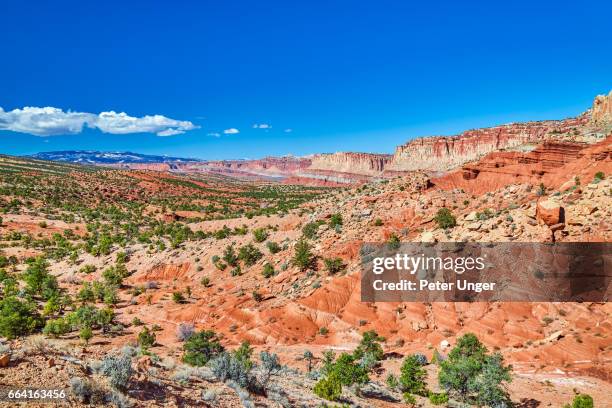 capitol reef national park, utah,usa - capitol reef national park stock-fotos und bilder