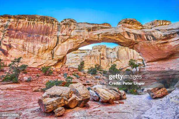 capitol reef national park, utah,usa - capitol reef national park fotografías e imágenes de stock