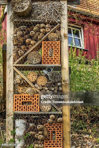 insects hotel - holzkiste stock pictures, royalty-free photos & images