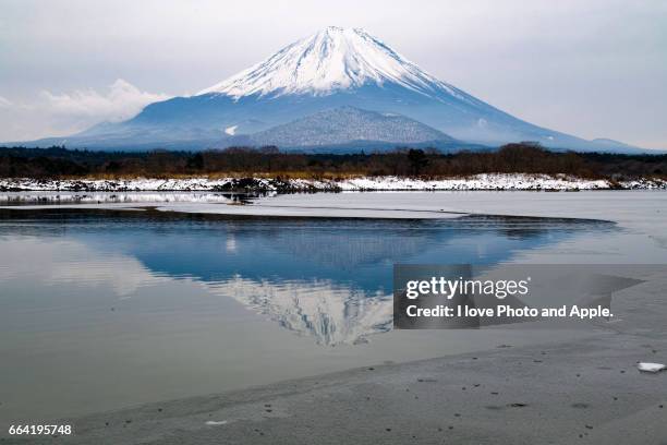 fuji view at lake shoji - 冷たい stock-fotos und bilder