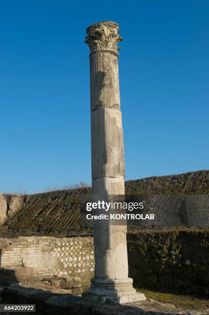 Some of the exhibits ruins of Sybaris after the inauguration of Sybaris Archaeological Park and its museum, in southern Italy, which took place in...