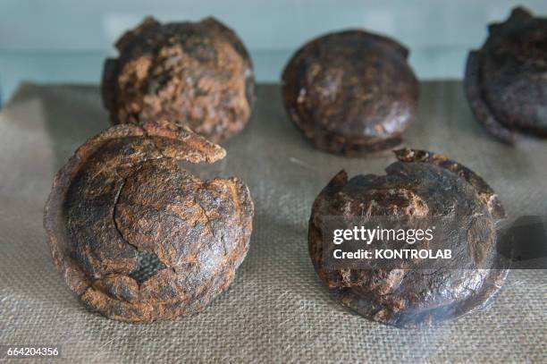 Some of the exhibits ruins of Sybaris after the inauguration of Sybaris Archaeological Park and its museum, in southern Italy, which took place in...