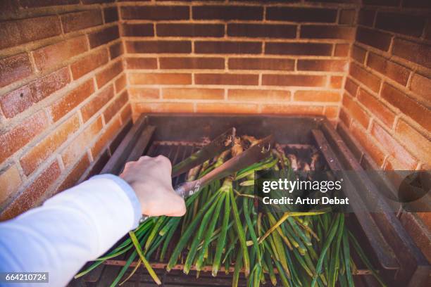 family reunion on sunday enjoying a typical calçotada in catalonia, cooking calçots (scallions), a spring onions vegetable grilled on the garden barbecue eaten with romesco sauce that gives a very good taste. - calçots stock-fotos und bilder