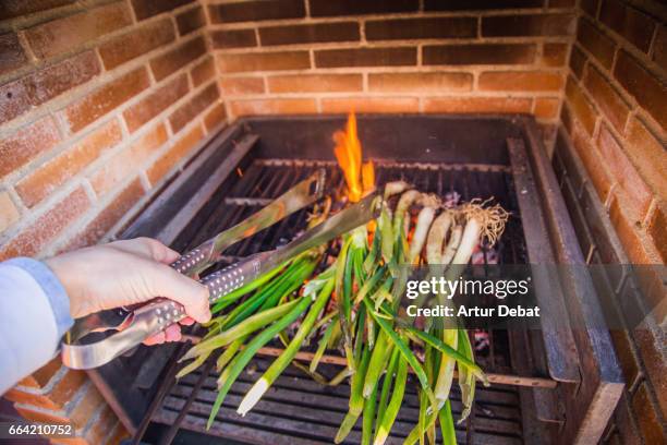 family reunion on sunday enjoying a typical calçotada in catalonia, cooking calçots (scallions), a spring onions vegetable grilled on the garden barbecue eaten with romesco sauce that gives a very good taste. - calçots stockfoto's en -beelden