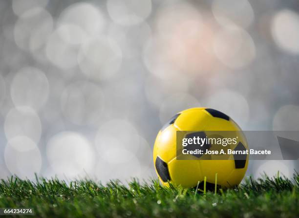 ball of  soccer ball  on a surface of  grass of a soccer field - césped stock pictures, royalty-free photos & images