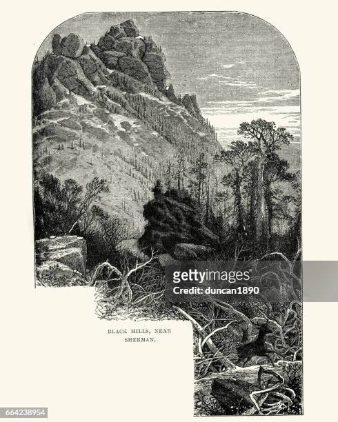ilustraciones, imágenes clip art, dibujos animados e iconos de stock de black hills, cerca de sherman, siglo xix - sherman oaks