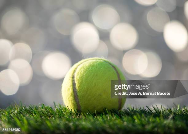 ball of  tennis ball  on a surface of  grass of a soccer field - zona de entrenamiento 個照片及圖片檔