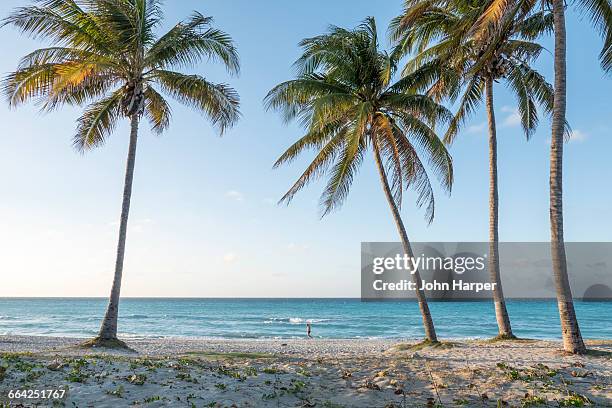 varadero beach, varadero, cuba - varadero beach stock pictures, royalty-free photos & images