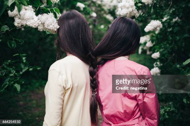 two young woman with long brown hair braided together standing shoulder to shoulder back to camera in blossoming lilac garden - newnaivetytrend ストックフォトと画像