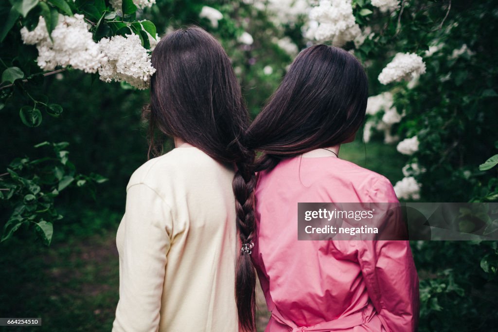 Two young woman with long brown hair braided together standing shoulder to shoulder back to camera in blossoming lilac garden