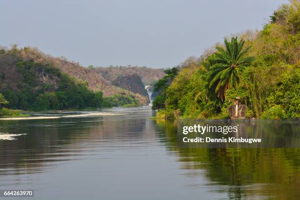 the great murchison falls. - falling water flowing water photos et images de collection