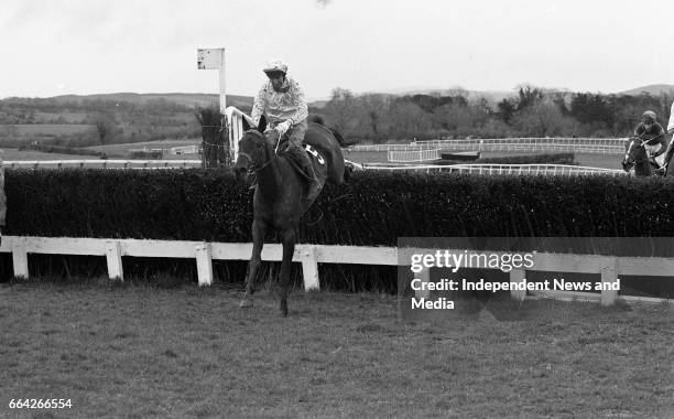 At Punchestown Racecourse, Irish National Hunt Festival, Punchestown, Dublin, circa April 1986 .