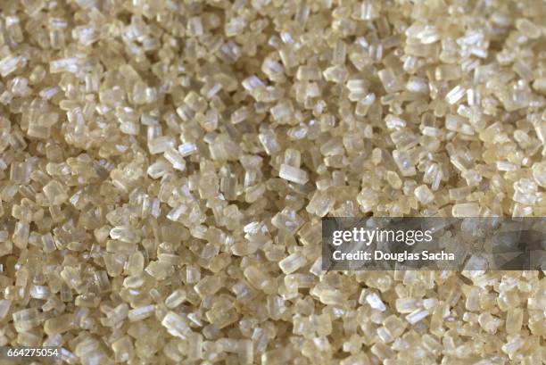 close-up of sugar crystals (saccharum officinarum) - turbinadosocker bildbanksfoton och bilder