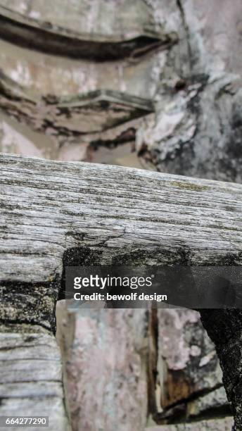 old wood - structure and texture - holz textur stock pictures, royalty-free photos & images