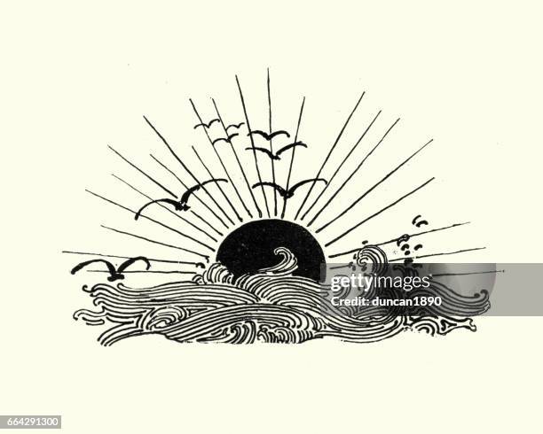 stockillustraties, clipart, cartoons en iconen met houtsnede van de ondergaande zon over de zee - meeuw