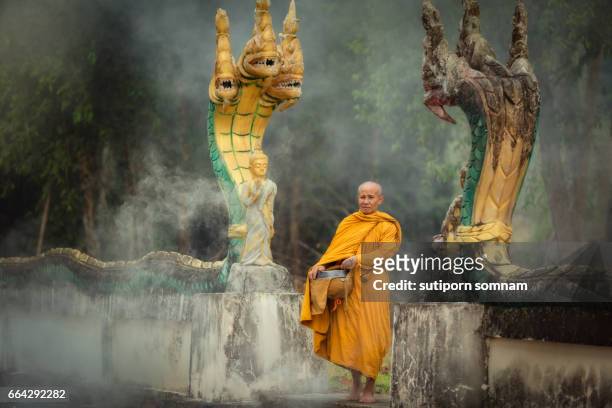 naga statue with monk alms round - heritage round two bildbanksfoton och bilder