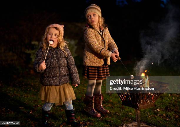 young sisters toasting marshmallows in their garden - marsh mallows stock pictures, royalty-free photos & images