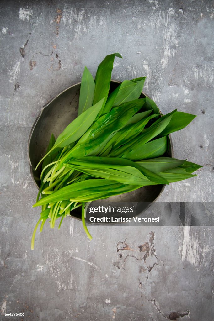 Organic Wild garlic, Allium ursinum, on plate