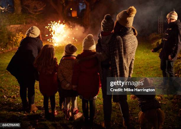 young family and friends watching fireworks - bonfire night stock pictures, royalty-free photos & images