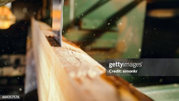 saw cutting a log - logging mill stock pictures, royalty-free photos & images