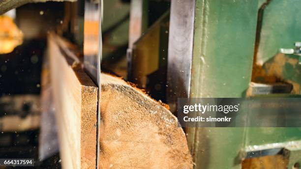 saw cutting a log - saw blade stock pictures, royalty-free photos & images