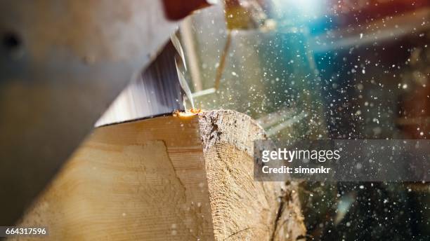 saw cutting a log - hand saw stock pictures, royalty-free photos & images