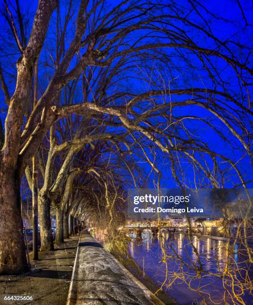 italy, rome, st. peter's basilica and ponte sant'angelo in the evening - ciudades capitales 個照片及�圖片檔