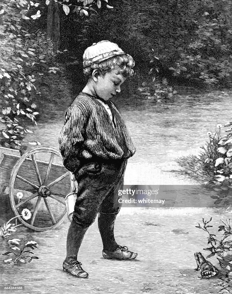 Little Victorian boy looking at a frog