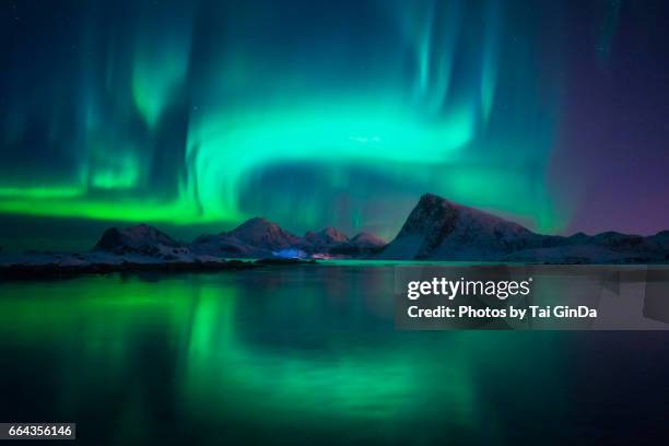 northern lights over the lofoten islands in norway - aurora borealis lofoten stock-fotos und bilder