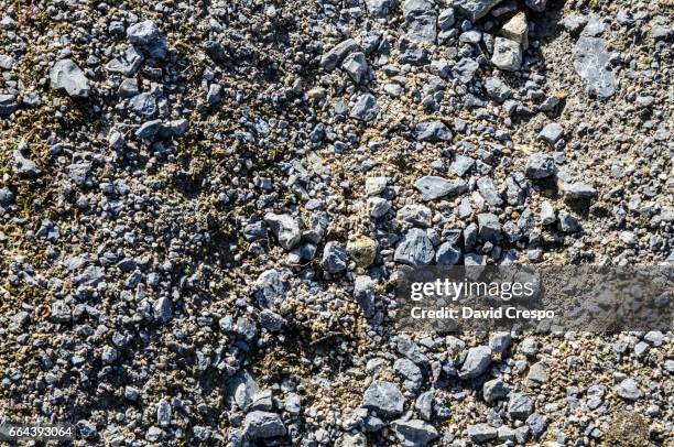 791 Gravel Path Texture Stock Photos, High-Res Pictures, and Images ...
