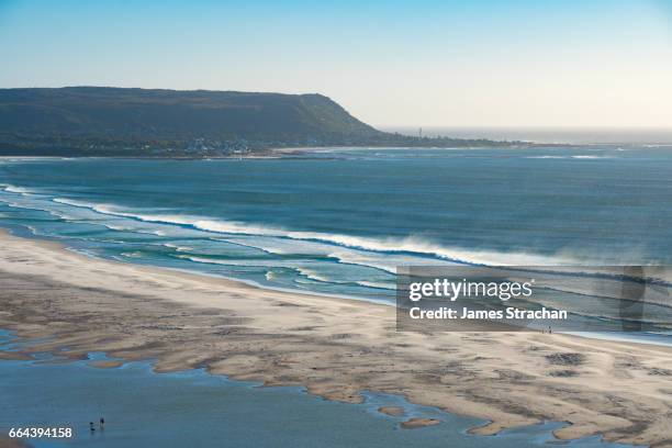 dogwalkers in evening sun on vast noordhoek beach, cape town, south africa - noordhoek stock-fotos und bilder