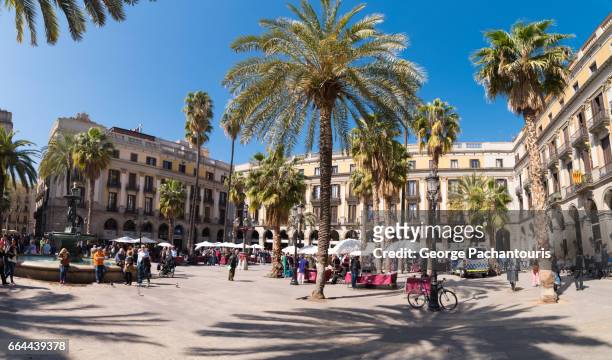 placa reial, barcelona, spain - the ramblas stock pictures, royalty-free photos & images